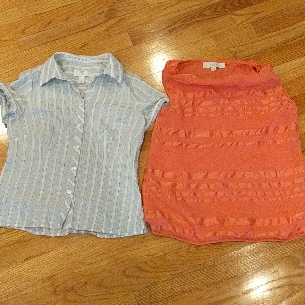 🐾 2 Loft Tops